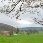 Chartreuse du Mont Dieu