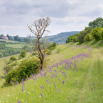 Acqueduc de la Dhuys