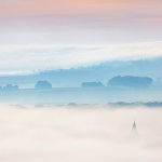 La montagne de Reims dans la brume